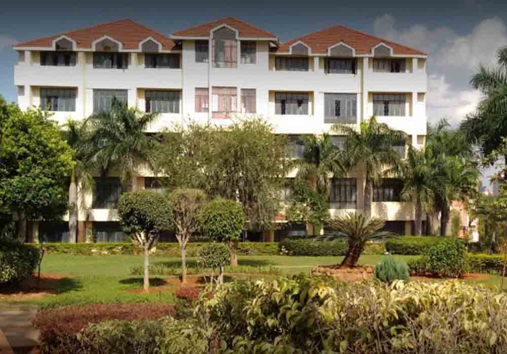 Unlock Easy and Seamless IQAS Evaluation From SNPSU