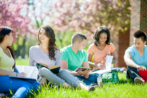 Ensure Easy ICAS Verification From Colleges In Himachal Pradesh